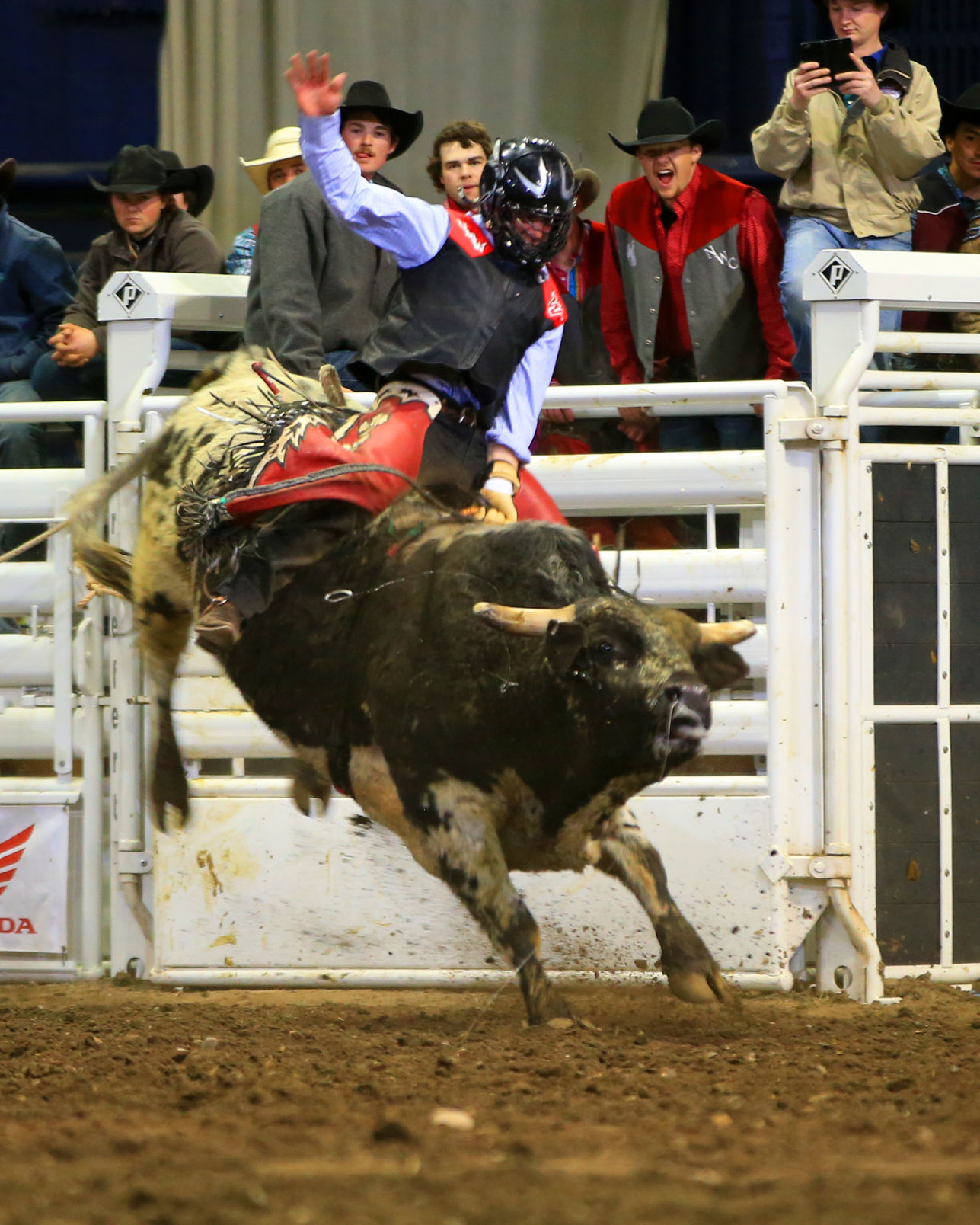 MSU Rodeo - Western's Piva